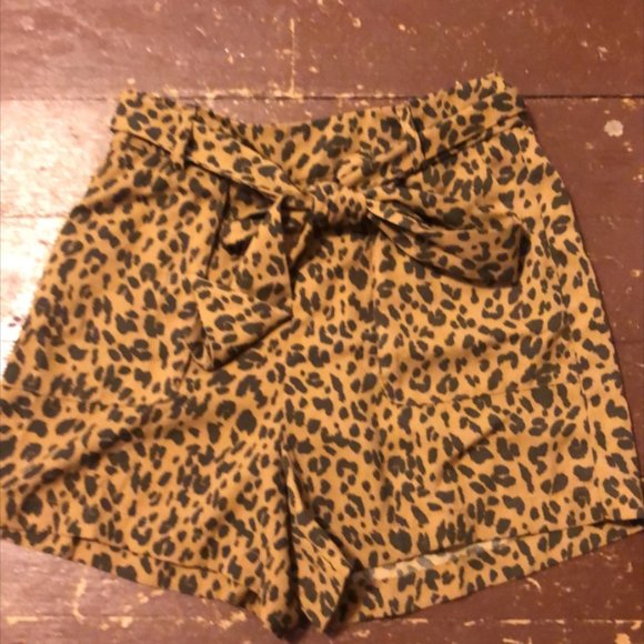 short - Picture 1 of 1